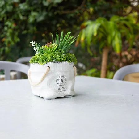 We - Loft Altavilla Riccione